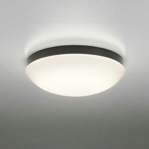 �I�[�f���b�N�G�N�X�e���A LED�|�[�`���C�g�h�J�E�h���^ FCL20W���� ���F�d���F�FOW269050LR