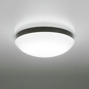 �I�[�f���b�N�G�N�X�e���A LED�|�[�`���C�g�h�J�E�h���^ FCL20W���� ���F�����F�FOW269050NR