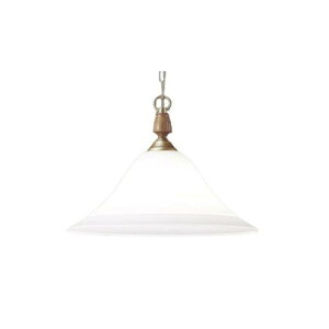 Panasonic(pi\jbN)LEDy_g100`d1dF:LGB15095yPDz