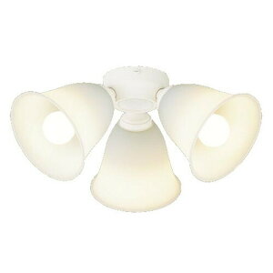 Panasonic(pi\jbN)DC/ACV[Ot@pVfAP̂ł̂gp͂ł܂񁦁yKpF`8zdFFSPL5343KyCFz