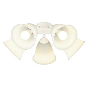 Panasonic(pi\jbN)DC/ACV[Ot@pVfAP̂ł̂gp͂ł܂񁦁yKpF`14zdFFSPL5540KyCFz