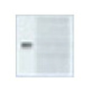 Panasonic(pi\jbN)zRXV[YCh21_uXCb`nh(\tEl[Ȃ)zCgWT3022W