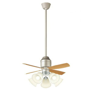 Panasonic(�p�i�\�j�b�N)�V�[�����O�t�@��+LED�V�����f���ADC���[�^�[�^�C�v/100�`�d��5�������y�{�́FSP7077+����FSPL5541K�z�y�݉��p�t�����W�FSPK072+�݉��p�p�C�v�FSPK012�z�d���F�FXS77141K�yCF�z