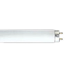 ŃCebNOg`uvE5DFLR40SEX-D/M/36-H