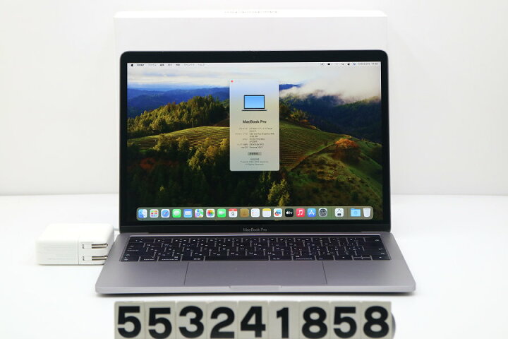 Apple MacBook Pro 2018 A1989 13インチ スペースグレー 174回 王常 