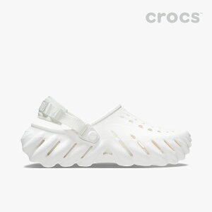 NbNX T_ sUxt Echo Clog GR[ NbO sYC fB[XCt