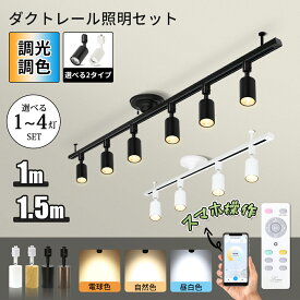 ダクトレール 1m 1.5m 照明 LED電球付 リモコン付き 調光調色 LED一体型 ライティングレール スポットライト シーリングライト ペンダントライト 片側角度調整 おしゃれ 天井照明 引掛シーリング対応 間接照明 スライド式 配線ダクトレール インテリア照明