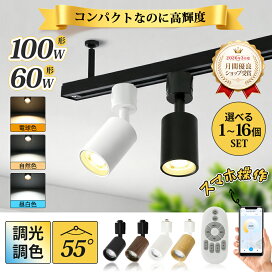 楽天市場】スポットライト 調光調色 電球付き リモコン付き ダクト 
