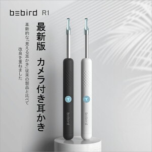 スマホ 耳かきの人気商品 通販 価格比較 価格 Com