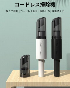 掃除機 車用 洗車用品 通販 価格比較 価格 Com