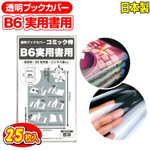  ubNJo[ B6 p 25 {yR~bNzヌr[100~N[|I