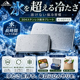 【先着100名様限定！984円/点　36％OFFクーポンで！】ステンレス 保冷剤 ステンレス保冷プレート 保冷剤 溶けない 長持ち くり返し使える エコ 弁当 クーラーボックス ペット用 暑さ対策 熱中症対策 スクエア型 スリム コンパクト アウトドア キャンプ 保冷プレート