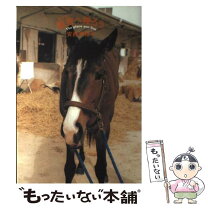 楽天市場】馬 厩舎の通販