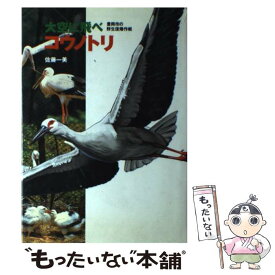 【中古】 大空に飛べコウノトリ 豊岡市の野生復帰作戦 / 佐藤 一美 / 講談社 [単行本]【メール便送料無料】【あす楽対応】