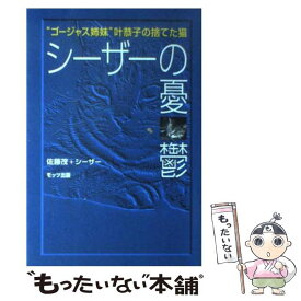 楽天市場 叶恭子 カレンダーの通販 楽天市場 叶恭子 カレンダーの通販