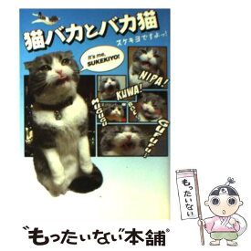 楽天市場 猫バカとバカ猫 スケキヨですよっ の通販