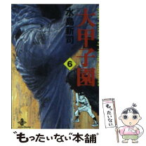 楽天市場】大甲子園 水島新司 文庫の通販 