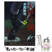 楽天市場】大甲子園 水島新司 文庫の通販 