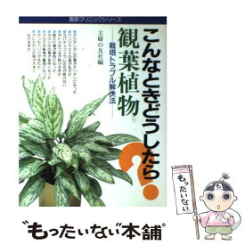【中古】 観葉植物 / 主婦の友社 / 主婦の友社 [単行本]【メール便送料無料】【最短翌日配達対応】