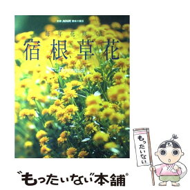 【中古】 毎年花咲く宿根草花 / NHK出版 / NHK出版 [ムック]【メール便送料無料】【最短翌日配達対応】