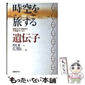 楽天市場 ふしぎワールドの通販
