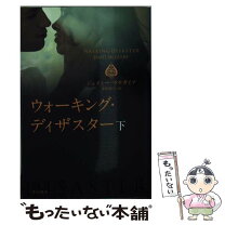 楽天市場】ビューティフル・ディザスターの通販 