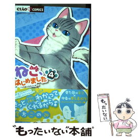 楽天市場 ねこはじめました 8の通販 楽天市場 ねこはじめました 8の通販