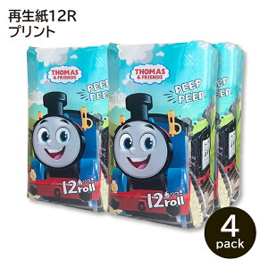 y/vg/gCbgy[p[z񂵂g[}X12RW4P