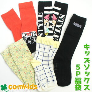  \bNX5PZbg ApTh [WW BAJAȂ C LbY qpC5P j̎q ̎q