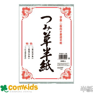 ݑ 100 }AC P100n-35 @Kp@ʁ@ѕM@@w K@wZ