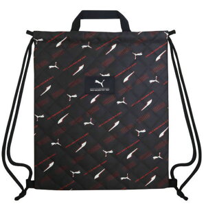 PUMA v[} ibvTbN ̑Ƀsb^TCY̋В ̑ ct ʉObY w@ʊw@wZ@ibvUbN