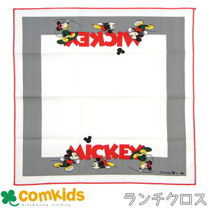 DISNEY fBYj[@~bL[}EX `NX qp ٓ݁@唻nJ` `}bg ʉAʊw