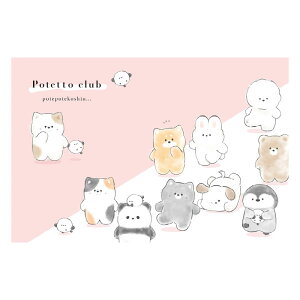 IoP[k W[V[g ~@@s@sNjbN@Ԍ@C ^ q LbY@̎q@LN^[