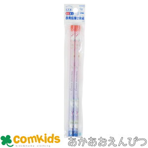 TILN^[Y@ԐM2{g 6p@Ԃ҂@҂@ԉM@w@[@MLp@w@ʊw@LN^[