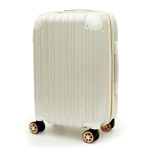 gX[cP[X @ STCY Wbp[^Cv GREEN WORKS GRE2253-48