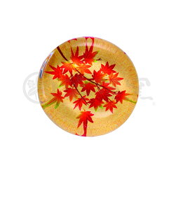 ޗ ui݂j5Zbg KX ͂ a aH a_ aG g  o aH   aeCXg 킢