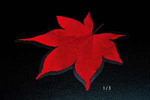 NAV[g Ԃ݂i200j ^NAV[g Lb` { o aH HX ze 