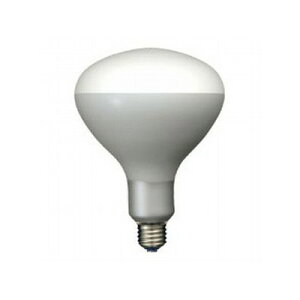 �ʐ^�Ɩ��p�A�C�����v�@�X�|�b�g�i�W���`�j�@300W�@E26�@PRS300W