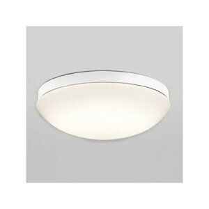 LED�o�X���[�����C�g�@OW269013LD