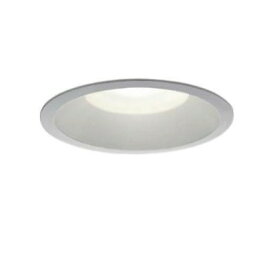 LEDベースダウンライト　高気密SB形　非調光タイプ　昼白色　白熱灯100Wタイプ　防滴形　シルバー　DDL−5107WS