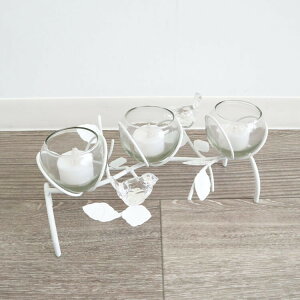  ACAt[x[X LEDt  KX AeB[N g   rO  ANZT[ LhX^h