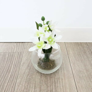  _eCXg KXԕr OXA[g zCg&CgO[ ԕt Ԋ Ԃт  AeB[N Mtg zj 蕨