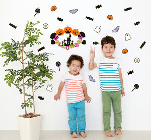 唻 1m t`Ȃ ] EH[XebJ[unEBEَqv ڂ Ǐ B CeA Lb` rO q gC ǎ ǃV[ 킢 k