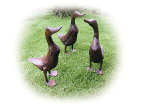 Aq K[fANZT[ I[ig IuWF CeA G AeB[N 