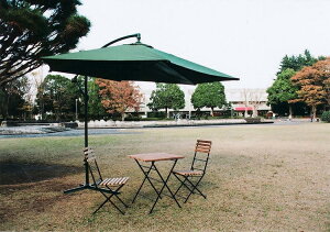 AuA[1^ O[ p\ K[f  悯 JtF ze  JtF eX