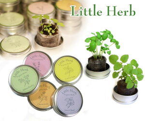 ͔|Zbg n[u  | K[fjO CeA Mtg  킢 ͔|Lbg