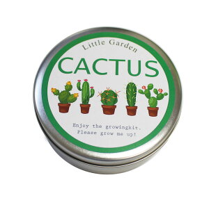 T{eMIX | K[fjO CeA Mtg  킢 ͔|Lbg