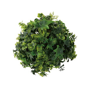 {[tFCNO[ lHϗtA lHA  u   CeA 