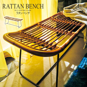 i _CjOx` 121cm 2l| H֎q `FA[ `FA _CjO`FA[ CX ֎q ^ ACA l| 2l| x``FA k  AeB[N C݃ub