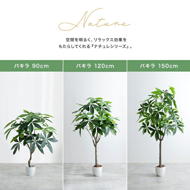 楽天市場】人工観葉植物 パキラ 光触媒 フェイクグリーン 高さ150cm 